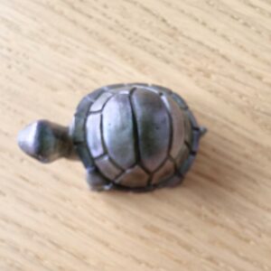 Mini tortue