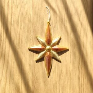 Etoile de Noël "Eclae" rose orangé