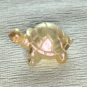 Mini Carapaz champagne