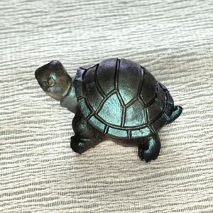 Mini Carapaz noire caméléon