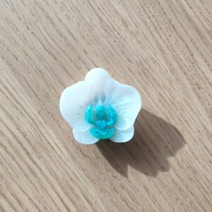 Eclat d'Orchidée blanc et vert