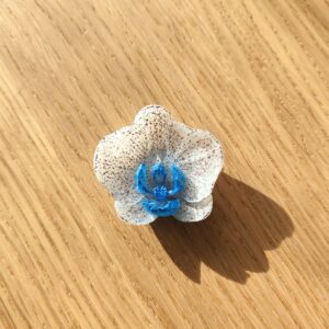 Eclat d'Orchidée blanc bleu et paillettes marrons