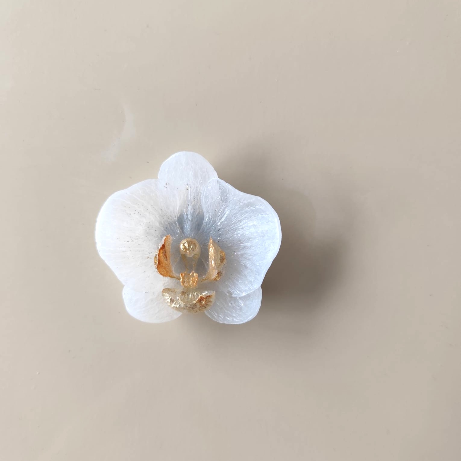 Eclat d'Orchidée blanc doré